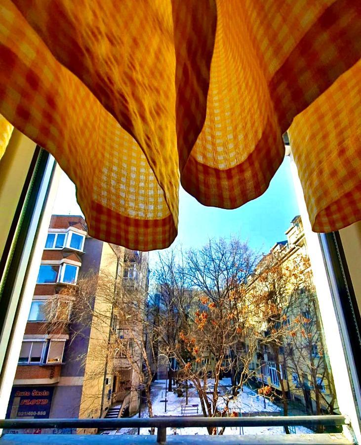 Apartman Danube Nowy Sad Zewnętrze zdjęcie