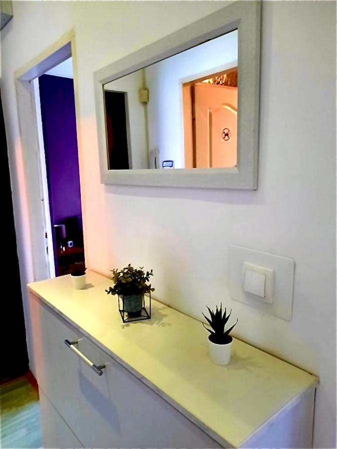 Apartman Danube Nowy Sad Zewnętrze zdjęcie