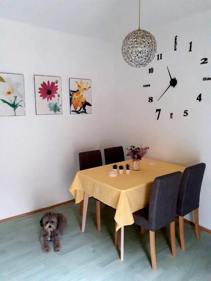 Apartman Danube Nowy Sad Zewnętrze zdjęcie